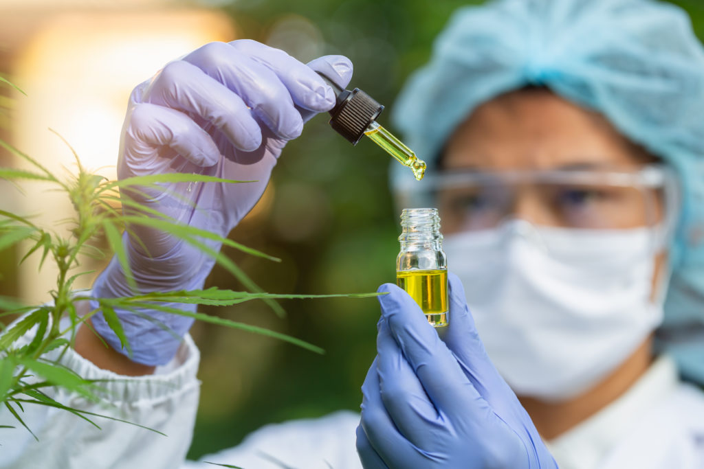 A scientist dropping THC oil for experimentation and research.
