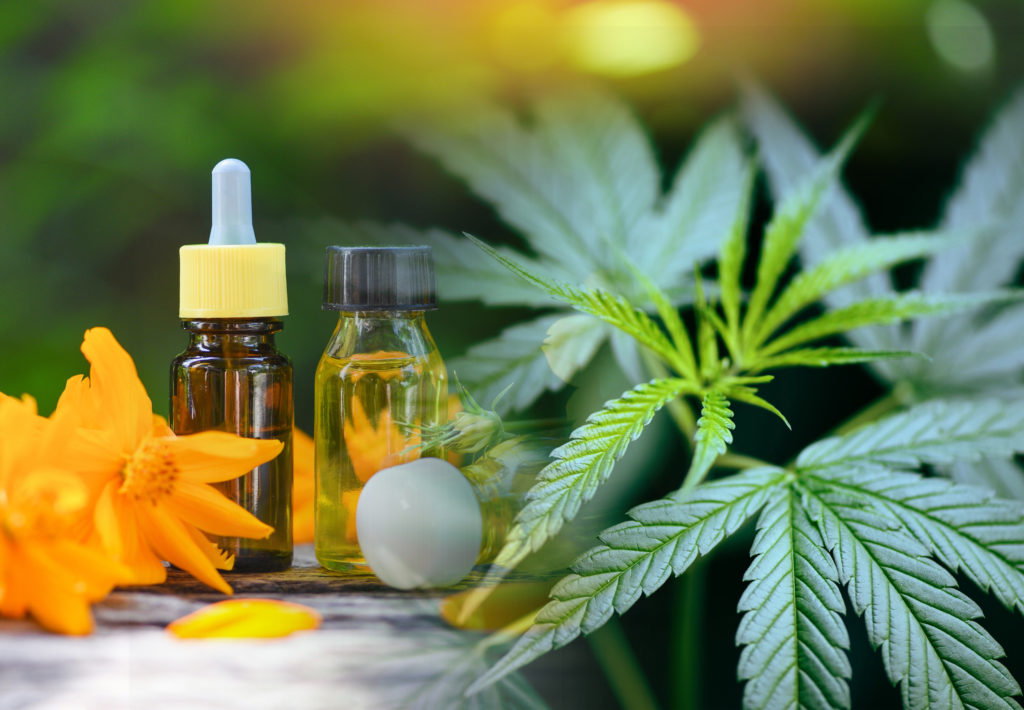 CBD and cannabis products
