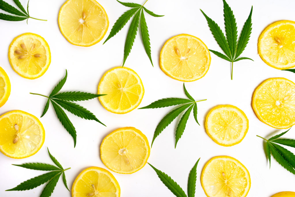 Marijuana leaf and lemon